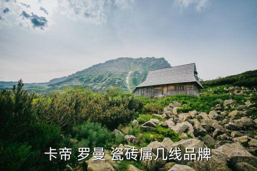 罗曼瓷砖效果图大全,瓷砖美缝效果图大全 颜色搭配