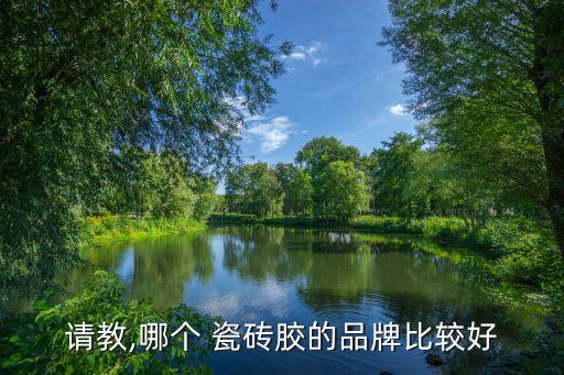 贴瓷砖 泥品牌,贴得稳瓷砖胶是不是十大品牌