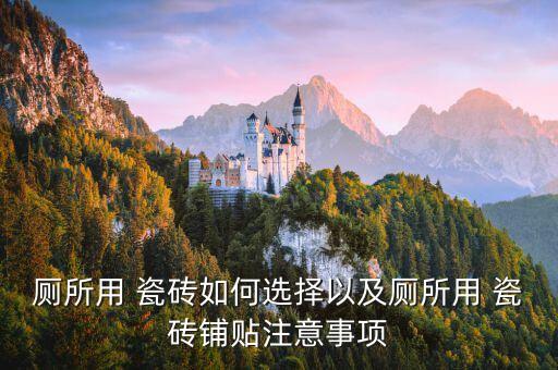 厕所用 瓷砖如何选择以及厕所用 瓷砖铺贴注意事项