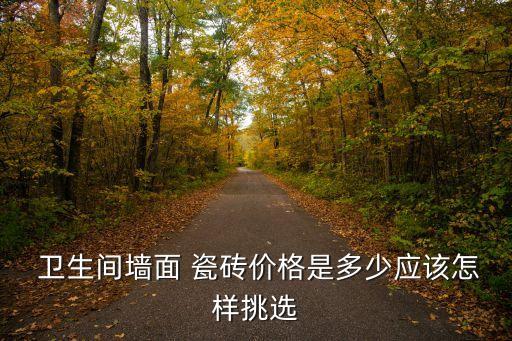  卫生间墙面 瓷砖价格是多少应该怎样挑选