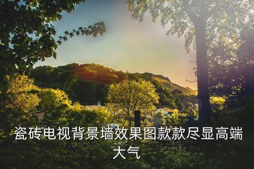 10130元瓷砖效果图