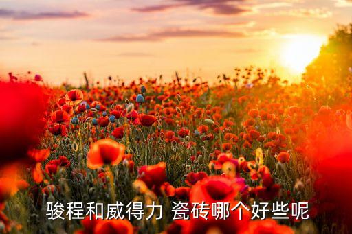  骏程和威得力 瓷砖哪个好些呢