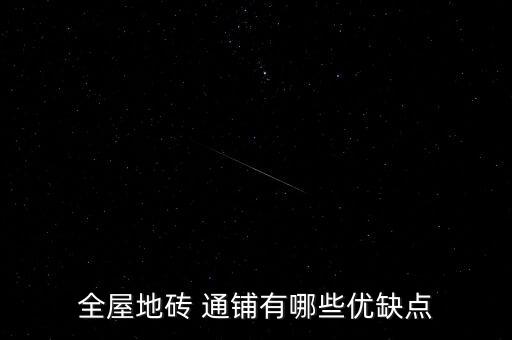 全屋地砖 通铺有哪些优缺点