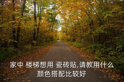 家中 楼梯想用 瓷砖贴,请教用什么颜色搭配比较好