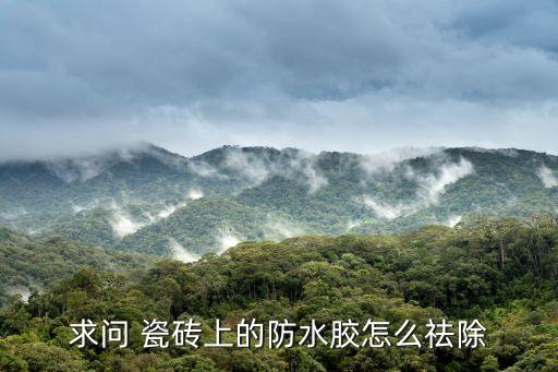 卫生间瓷砖胶怎么清洗
