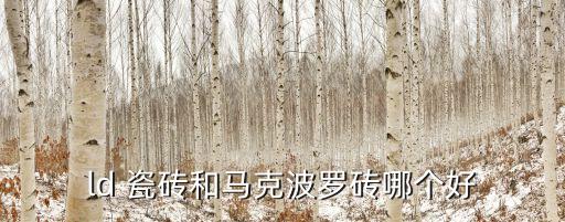 ld 瓷砖和马克波罗砖哪个好