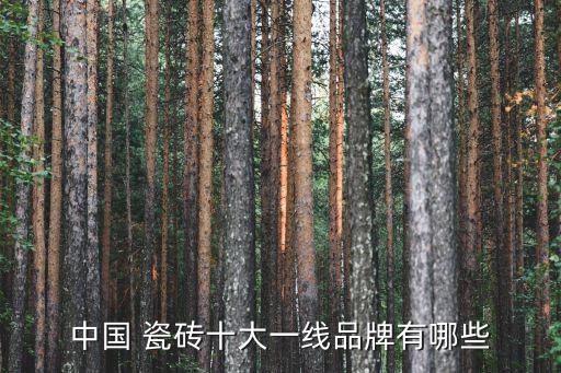 中国 瓷砖十大一线品牌有哪些