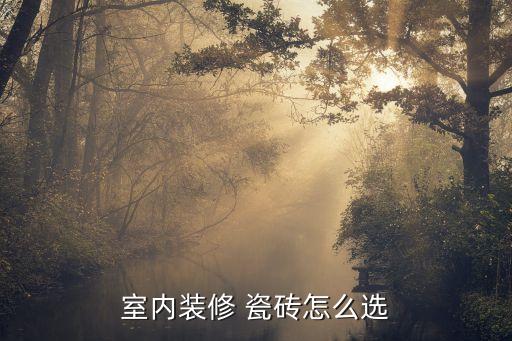 室内装修 瓷砖怎么选