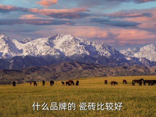 什么品牌的 瓷砖比较好