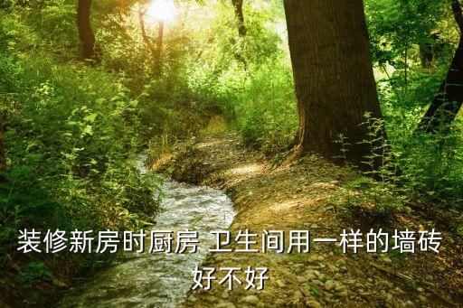 装修新房时厨房 卫生间用一样的墙砖好不好