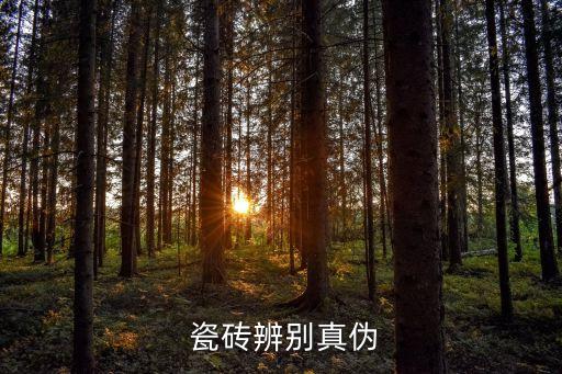  瓷砖辨别真伪