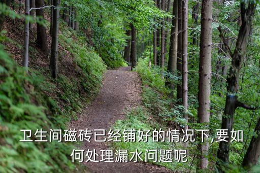  卫生间磁砖已经铺好的情况下,要如何处理漏水问题呢