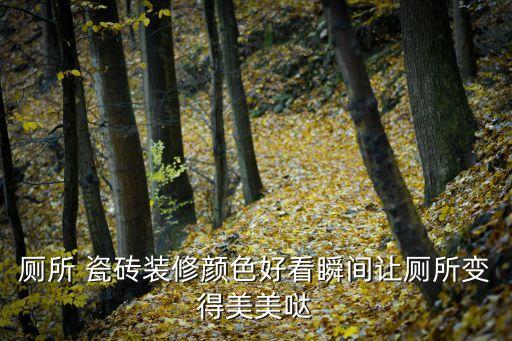厕所 瓷砖装修颜色好看瞬间让厕所变得美美哒