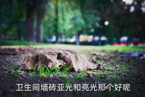  卫生间墙砖亚光和亮光那个好呢