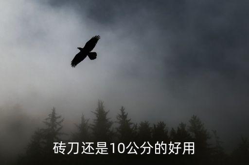 砖刀还是10公分的好用