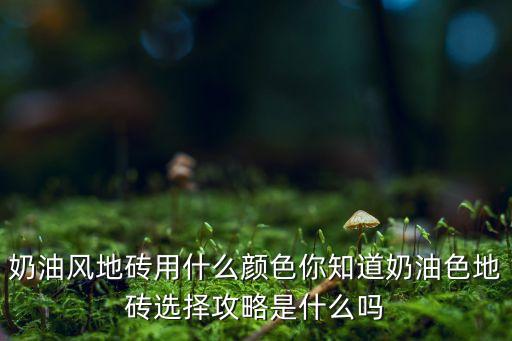 奶油风地砖用什么颜色你知道奶油色地砖选择攻略是什么吗