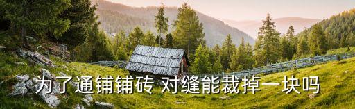 为了通铺铺砖 对缝能裁掉一块吗