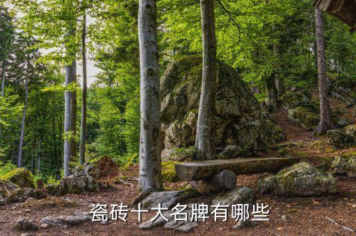 瓷砖行业各品牌的特色瓷砖