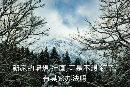 卫生间瓷砖挂画需要钉子吗
