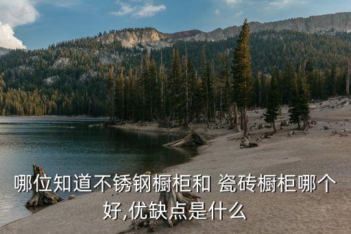 哪位知道不锈钢橱柜和 瓷砖橱柜哪个好,优缺点是什么