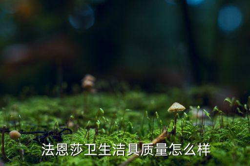 法恩莎的瓷砖怎么样