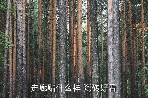 走廊贴什么样 瓷砖好看