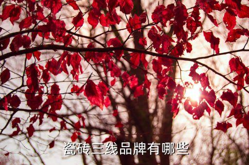 瓷砖三线品牌有哪些
