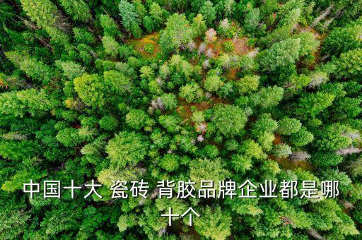 佛山瓷砖背胶品牌代理,广东佛山瓷砖背胶厂家电话