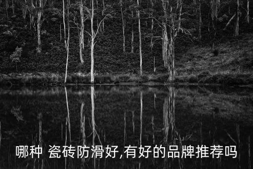 哪种 瓷砖防滑好,有好的品牌推荐吗