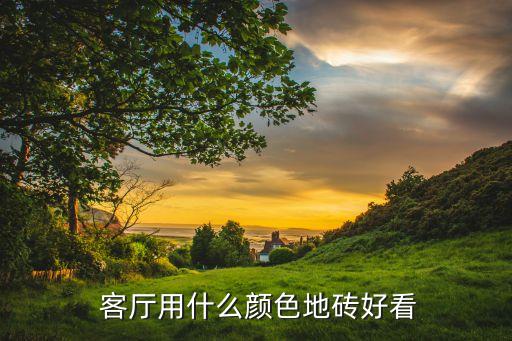  客厅用什么颜色地砖好看