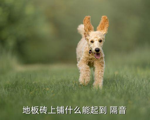 透光瓷砖隔音效果图
