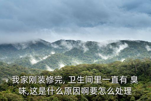 我家刚装修完, 卫生间里一直有 臭味,这是什么原因啊要怎么处理