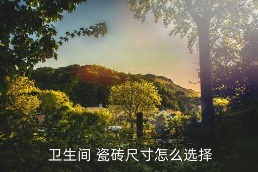  卫生间 瓷砖尺寸怎么选择