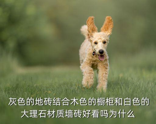  灰色的地砖结合木色的橱柜和白色的大理石材质墙砖好看吗为什么
