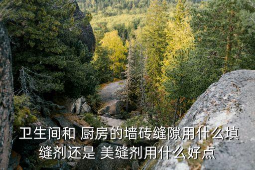  卫生间和 厨房的墙砖缝隙用什么填缝剂还是 美缝剂用什么好点