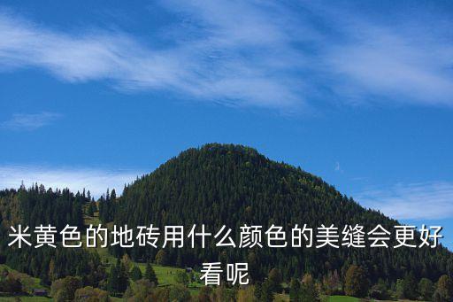米黄色的地砖用什么颜色的美缝会更好看呢