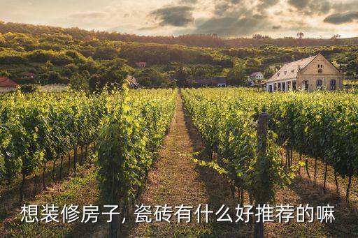 想装修房子, 瓷砖有什么好推荐的嘛