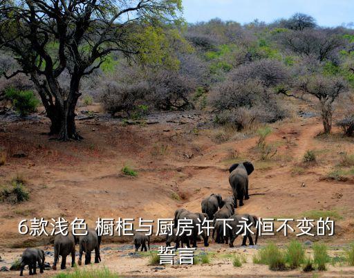 6款浅色 橱柜与厨房许下永恒不变的誓言