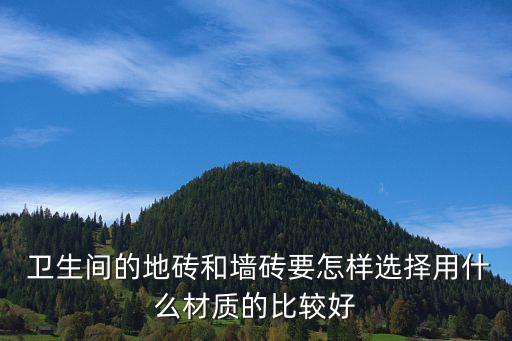  卫生间的地砖和墙砖要怎样选择用什么材质的比较好