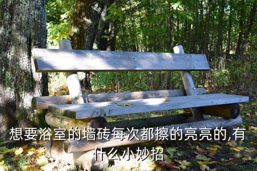 想要浴室的墙砖每次都擦的亮亮的,有什么小妙招