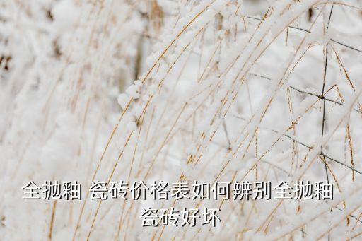 全抛釉 瓷砖价格表如何辨别全抛釉 瓷砖好坏
