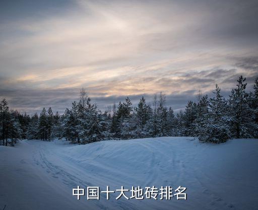 中国十大地砖排名