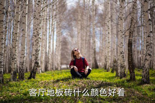 客厅地板砖什么颜色好看