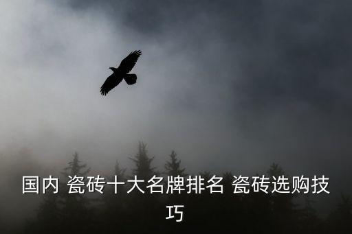 国内 瓷砖十大名牌排名 瓷砖选购技巧