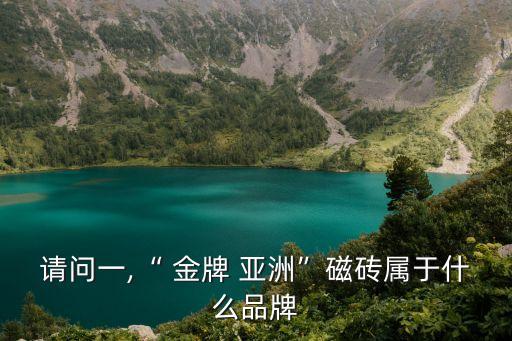 金牌亚洲瓷砖品牌力,亚洲金牌瓷砖怎么样