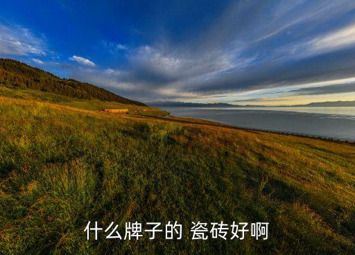 哪种是品牌瓷砖好,瓷砖品牌有多少种