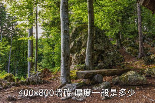 艺术瓷片卫生间瓷砖厚度,卫生间贴瓷砖好还是瓷片好啊