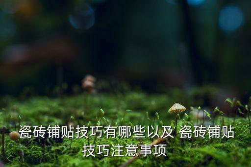  瓷砖铺贴技巧有哪些以及 瓷砖铺贴技巧注意事项