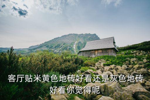  客厅贴米黄色地砖好看还是灰色地砖好看你觉得呢