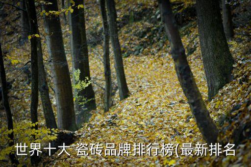 世界十大 瓷砖品牌排行榜(最新排名
